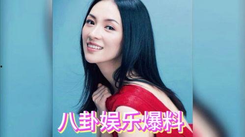 明星爆料小太妹视频,明星爆料背后的真相揭秘